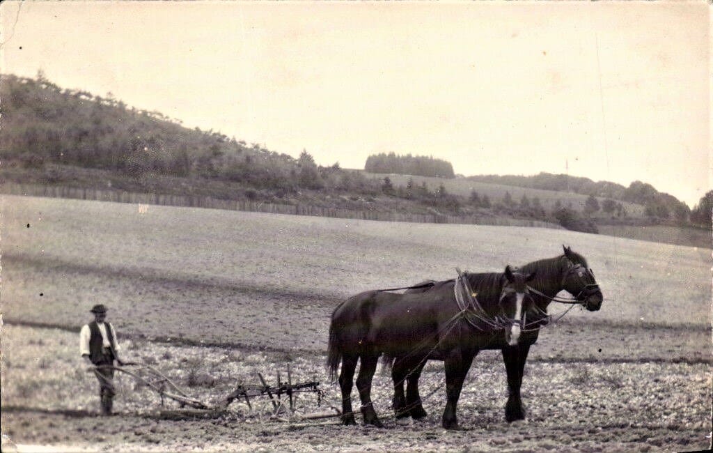 Alton posted Horse & Plough. Posted from Warwick Lodge. HAMPSHIRE 1906