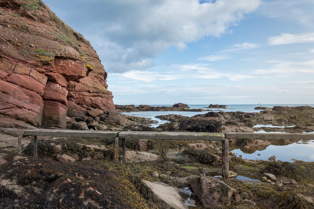Arbroath Cliffs