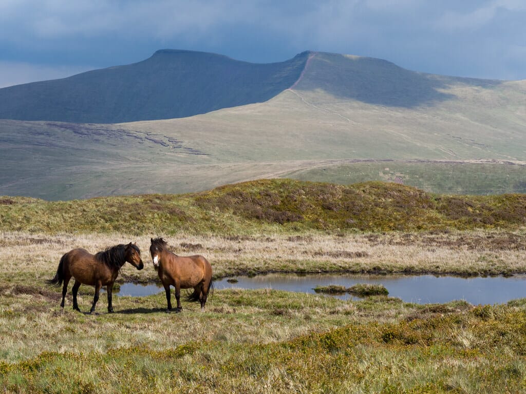 Brecon Beacons National Park