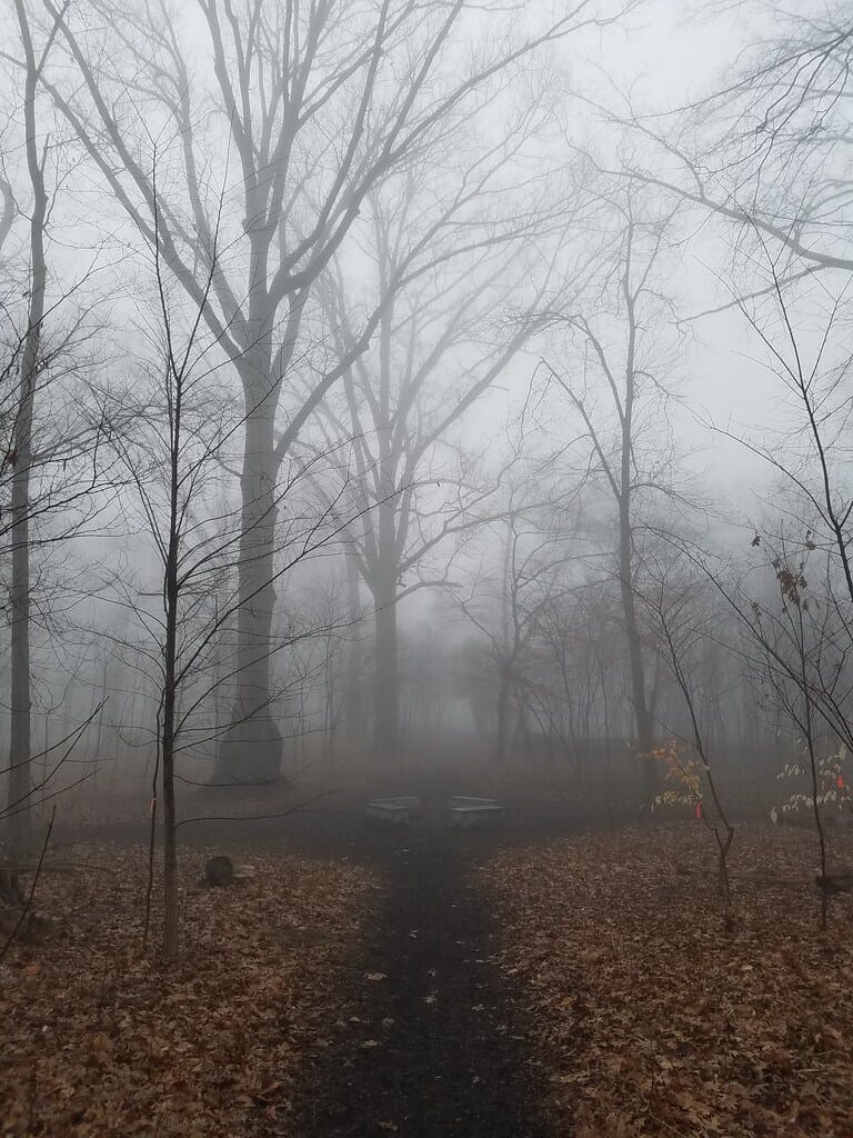 Cardiff Woods Park