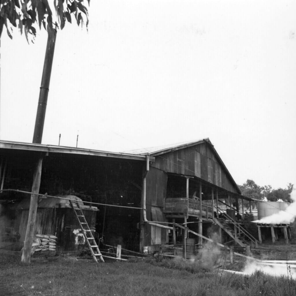 Elgin Vale Sawmill, 1984