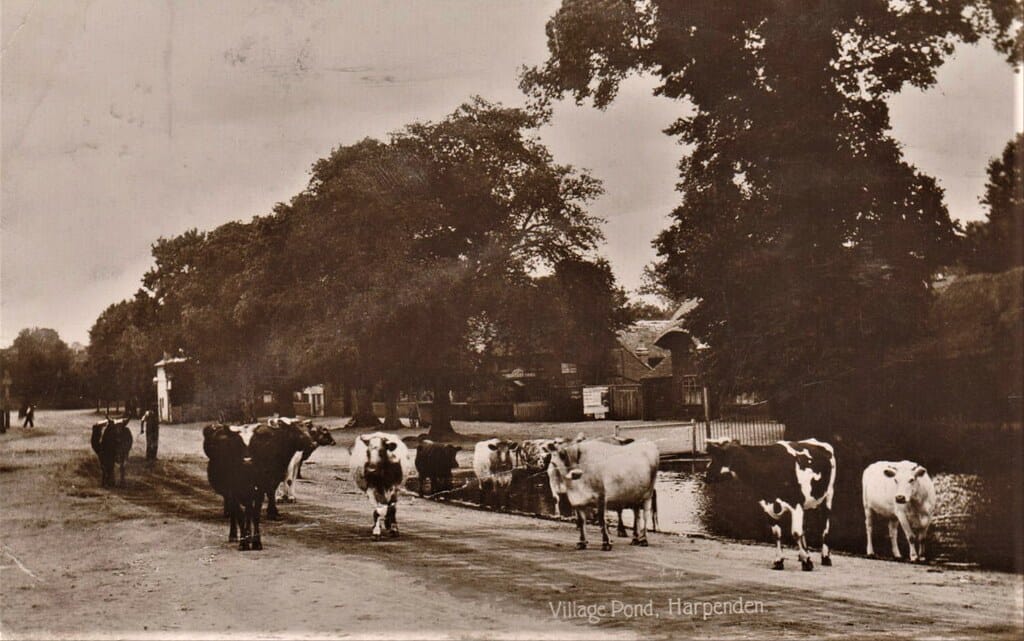 RP Village Pond Harpenden Hertfordshire 1915