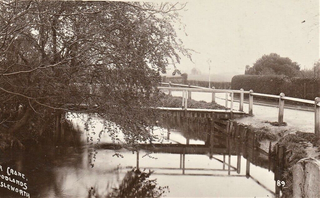 ISLEWORTH Middlesex River Crane Woodlands RP # 89 by YC Young & Co 1915