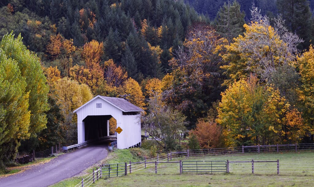 Nelson Mtn. covered bridge, Oregon