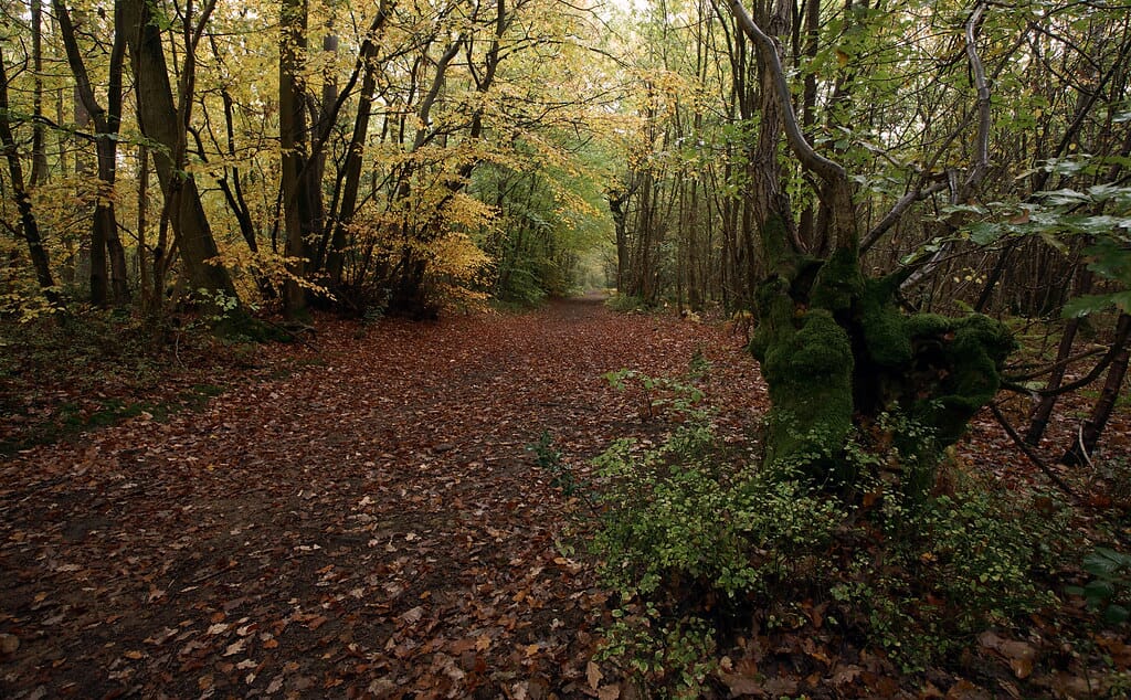 99 kent Oldbury Hill Fort
