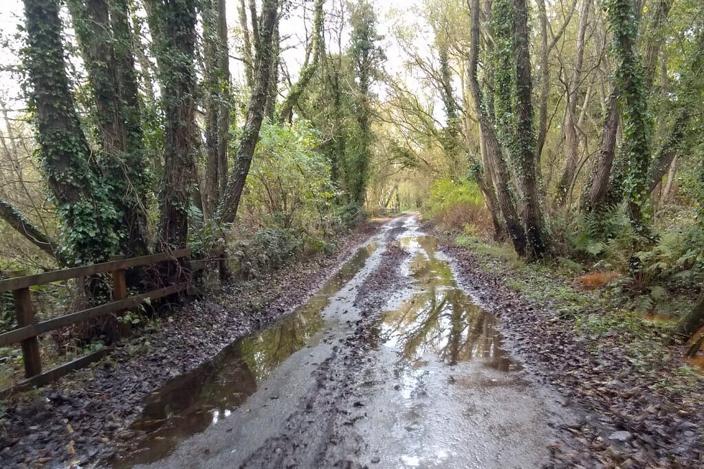Oakwood Lane, Sandbach, Cheshire.