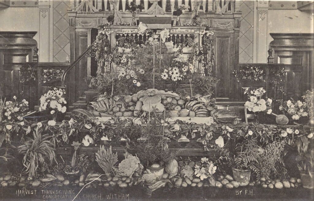 Witham, Essex. Harvest Thanksgiving, Congregational Church, Witham. 1908